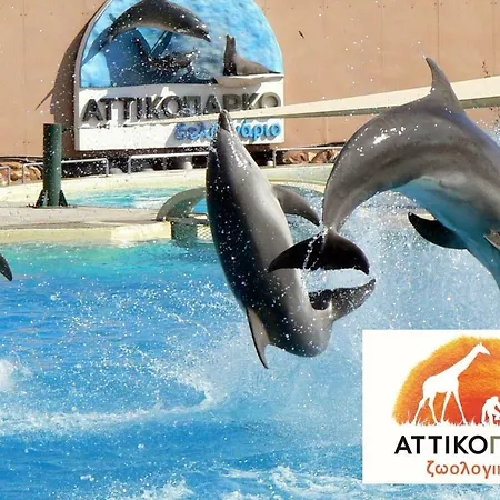 Alikes Close To International Airport And Rafina Port *