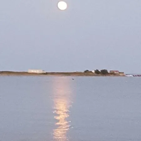 Alikes Close To International Airport And Rafina Port Apartment